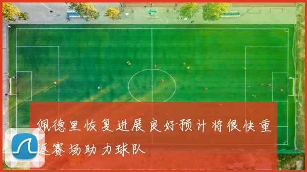 佩德里恢复进展良好预计将很快重返赛场助力球队
